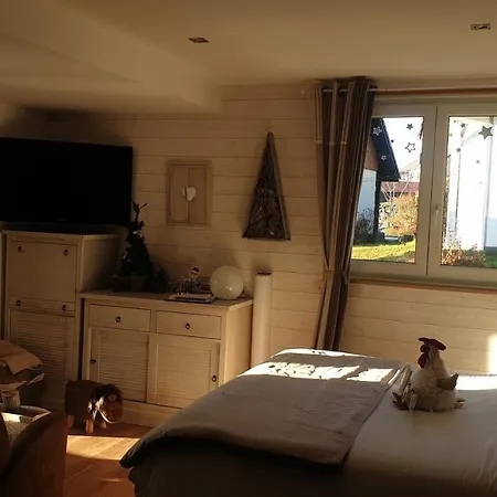 Appartement Au Nid Cosy D'isa A Vosges - Spas Privatifs *