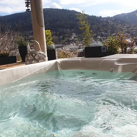 Au Nid Cosy D'isa A Vosges - Spas Privatifs Appartement Gérardmer